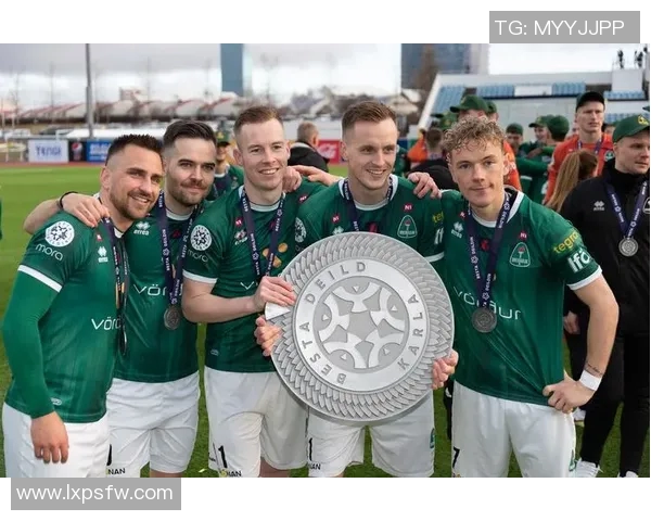 冰岛足球明星的崛起与辉煌历程探秘