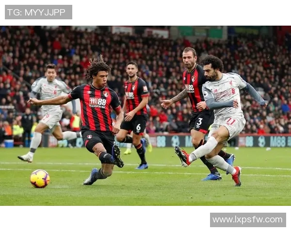 探寻5号背后的传奇足球明星及其辉煌成就