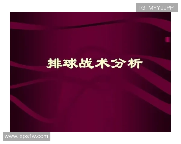 武汉排球队反击战术深度解析与实战应用探讨